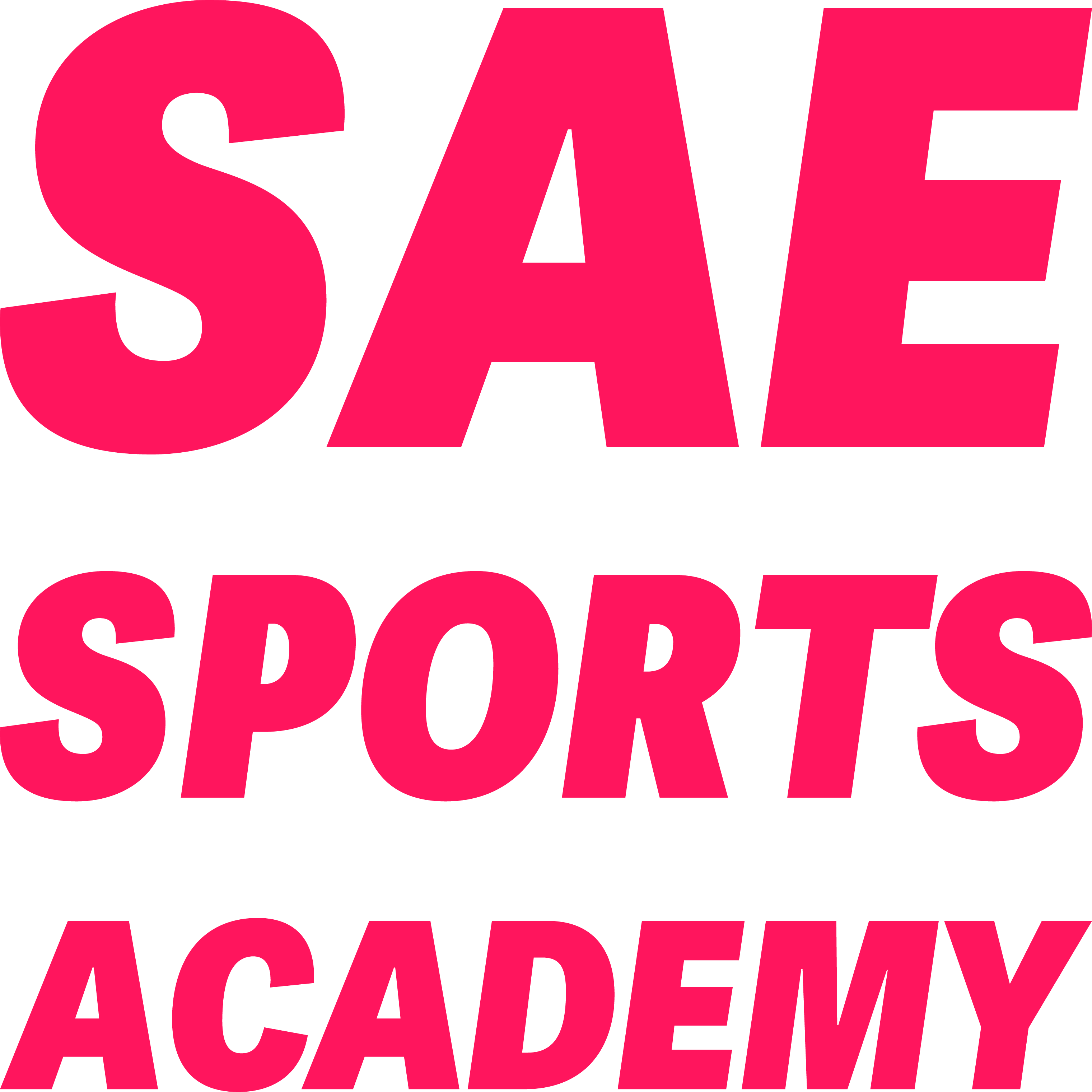 Sae スポーツアカデミー